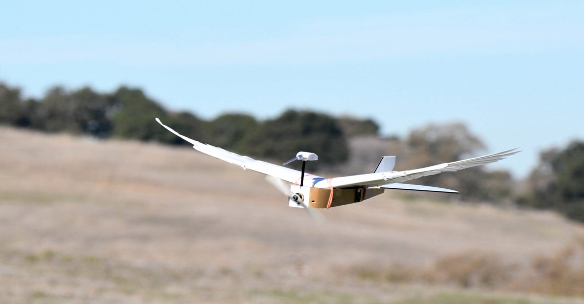 1579631412-pigeonbot-drone-vleugels-bewegen-drones-2020-1.jpg